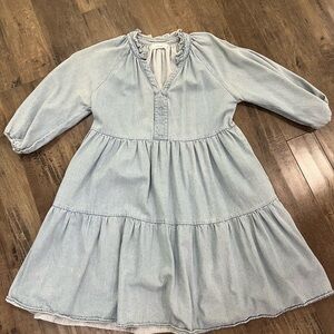 Carly Jean Los Angeles Denim mini dress